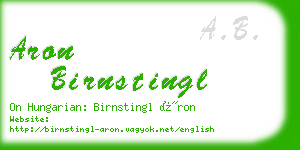 aron birnstingl business card